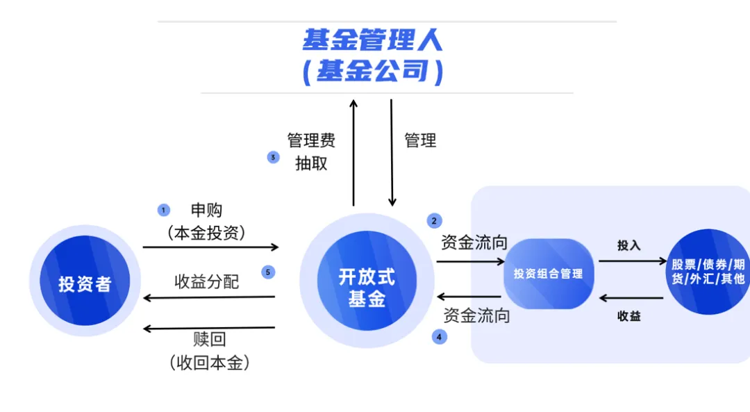 1763529656054 image